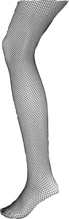 Fishnet stockings