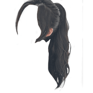 Black Ponytail Hair PNG
