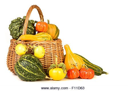 Basket Filled Gourds Corncobs Thanksgiving Stock Photos & Basket Filled Gourds Corncobs Thanksgiving Stock Images - Alamy