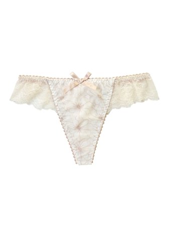 Teana T Back Shorts (Inner · Lingerie / Shorts · Panty) | Risa Magli (Risamary) Mail Order | Fashion Walker