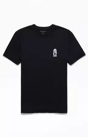 PS Basics Embroidered Cabo T-Shirt | PacSun