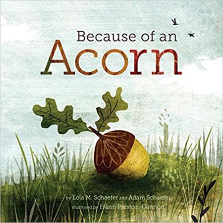 Because of an Acorn: (Nature Autumn Books for Children, Picture Books about Acorn Trees): Schaefer, Lola M., Schaefer, Adam, Preston-Gannon, Frann: 9781452112428: Amazon.com: Books