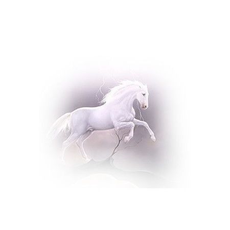 white horse