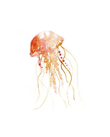 Watercolor Art Beach Painting Jellyfish Sea Creature - Etsy