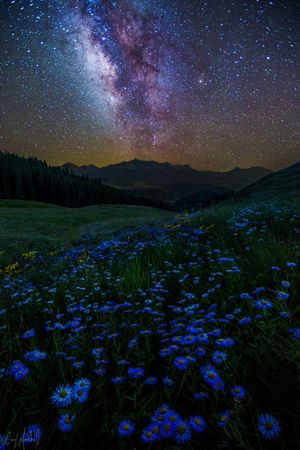 Cosmic Bloom | Night photography, Night skies, Beautiful nature