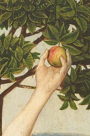 apple Adam and Eve