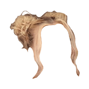 blonde hair space buns png
