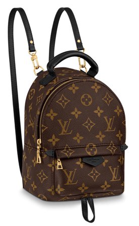 Louis Vuitton Palm Springs mini backpack