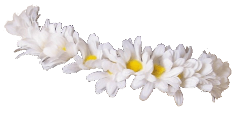 Daisy Flower Crown