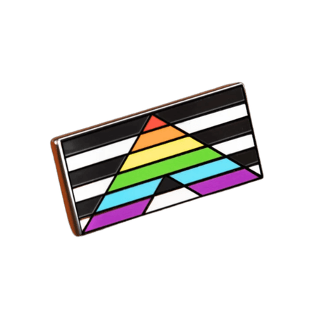 The LGBT Ally Flag Enamel Pin
