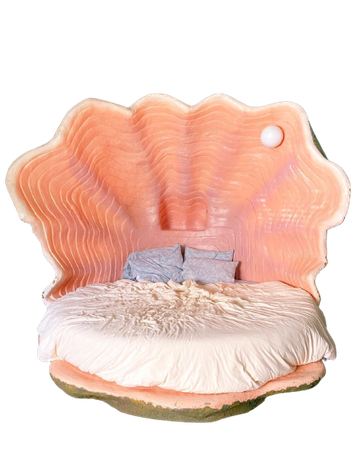 seashell bed