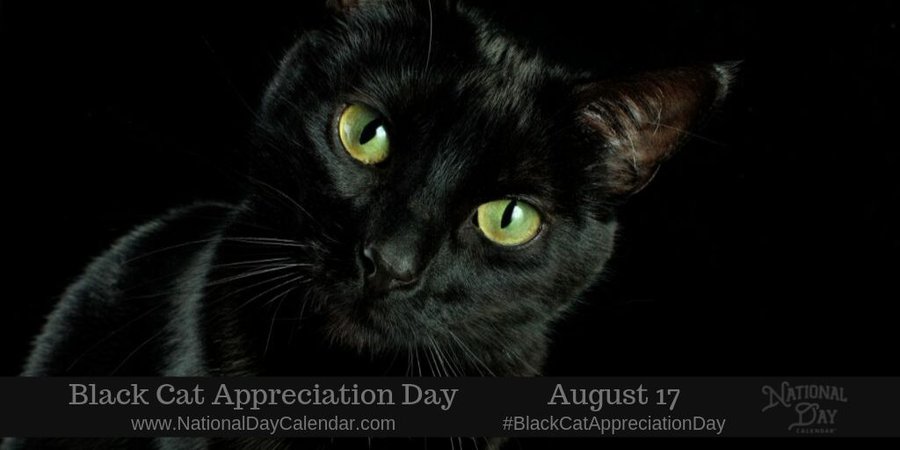 Black Cat Appreciation Day - National Day Calendar