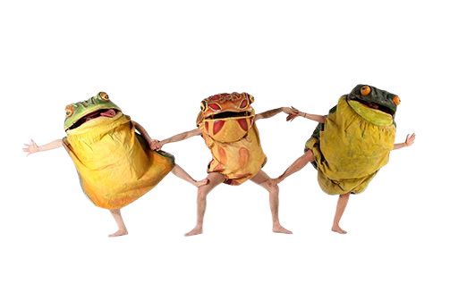 frog costumes