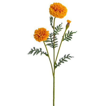 Amazon.com: 24.5" Marigold Silk Flower Stem -Orange (Pack of 12): Home & Kitchen