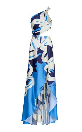 Whitney Printed Silk Cutout Maxi Dress By Silvia Tcherassi | Moda Operandi