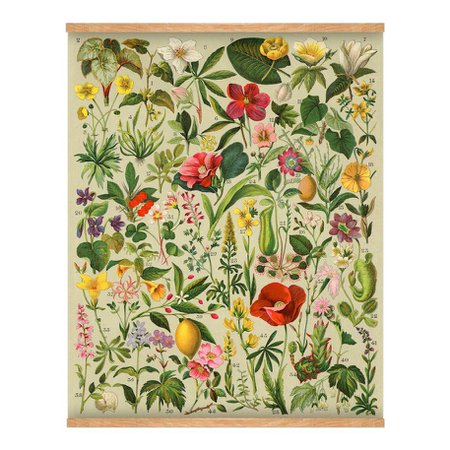 antique-spanish-botanical-wall-hanging-2053 (914×914)