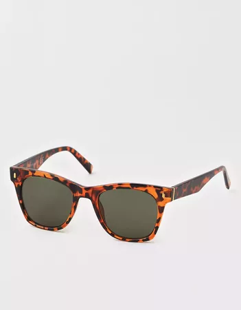 AEO Tortoise Wayfarer Sunglasses brown