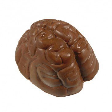 Gourmet Chocolate Anatomically Correct Brain - Morkes Chocolates
