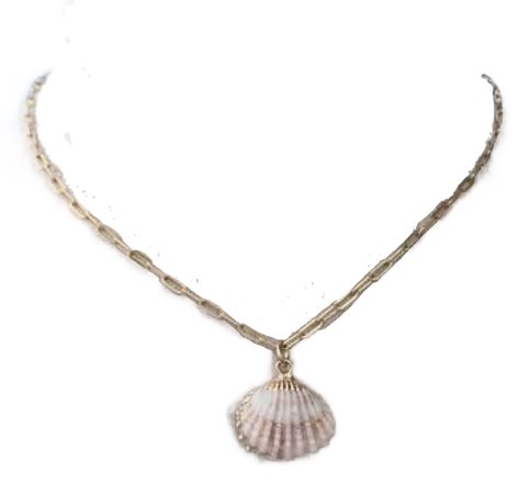 Isabelle Grace “She Sells Seashells” Necklace