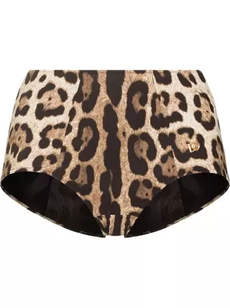 Dolce & Gabbana leopard-print Bikini Bottoms - Farfetch
