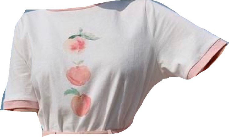 Peach Crop Top