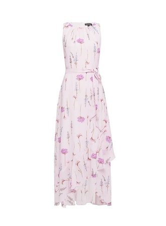 **Billie & Blossom Purple Floral Print Lilac Stem Midaxi Dress | Dorothy Perkins