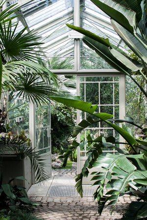 Lost in Plantation: Botanical Garden Belgrade · Happy Interior Blog