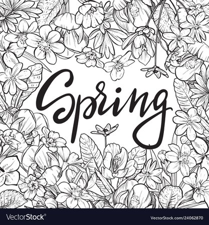 Spring text hand lettering with hand drawn Vector Image