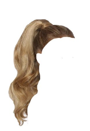 blonde ponytail