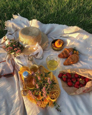 picnic aesthetic