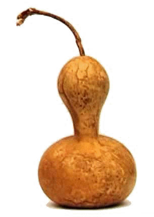 Indonesian Bottle Gourd