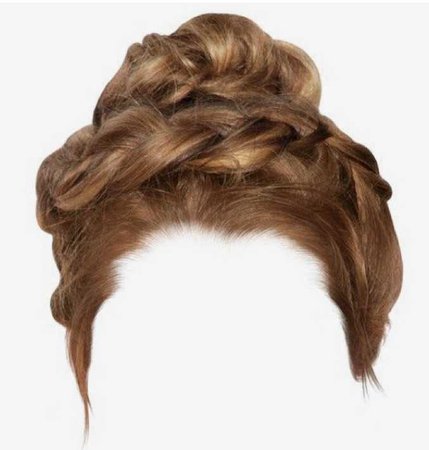 hair braid bun