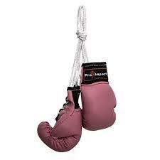 pink boxing gloves - Google Search