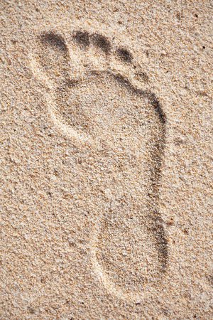 sand foot print - Google Search