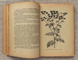old plant book - Google Search