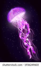 beautiful purple jellyfish - Google Search