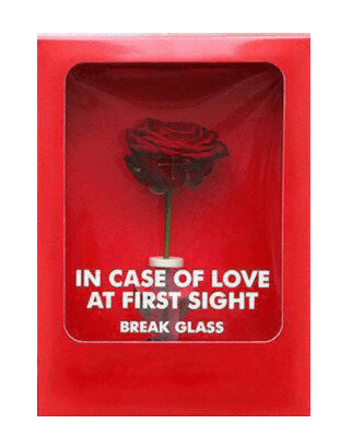 in case of love at first sight break glass