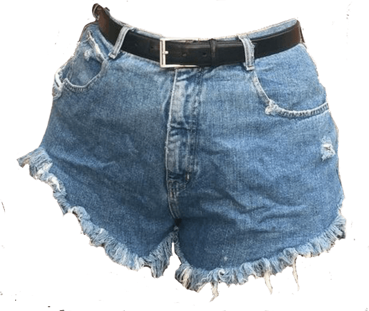 90s shorts belt