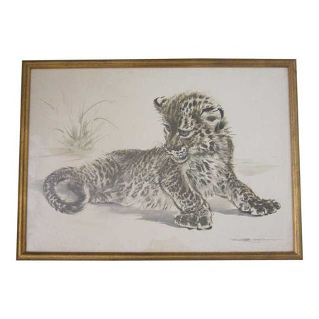 Signed Leopard Cub Watercolor | Chairish