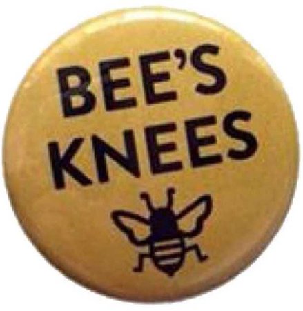 “Bee’s Knees” Pin - @png.rip PNG Collection