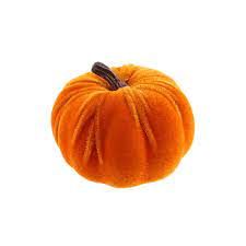 velvet pumpkins png - Google Search
