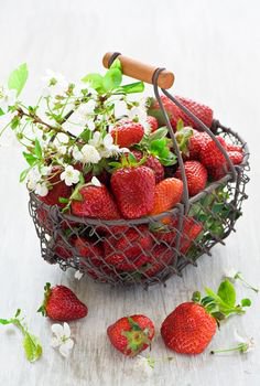 cute strawberry patch - Google Search