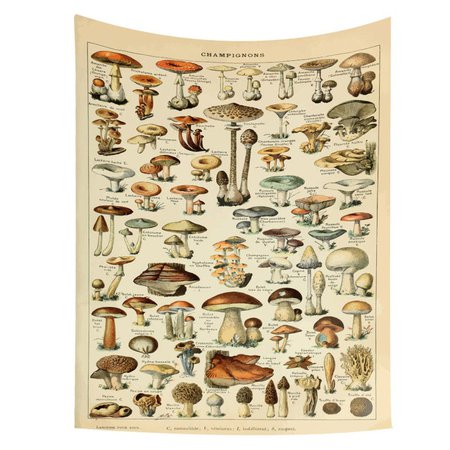 mushroom Tapestry | Boogzel Apparel