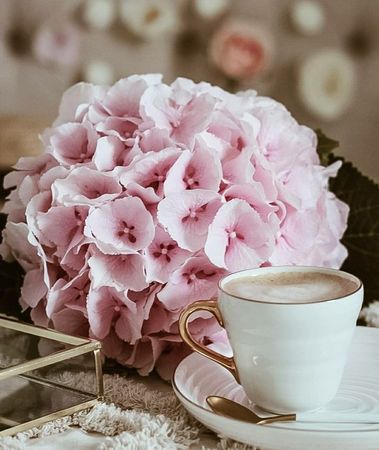 pretty pink flowers with coffee photo | Coffee art, Coffee photography, Flat lay photography