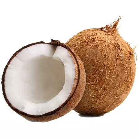 coconut - Google Search