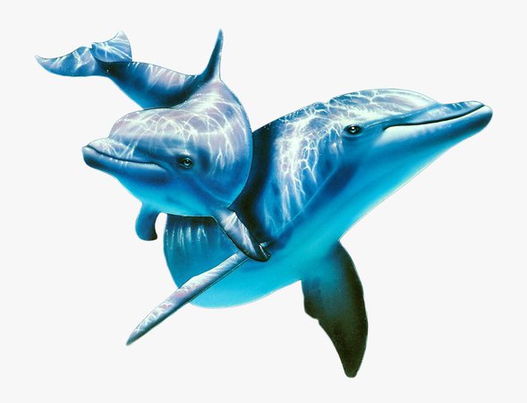 dolphin filler