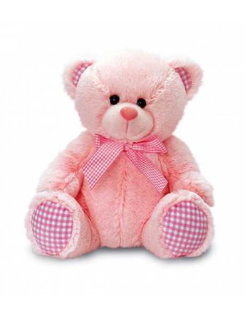 Small Pink Teddy