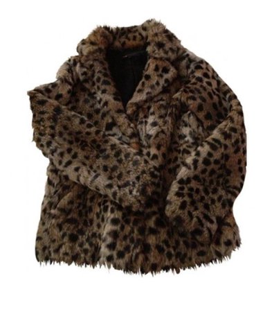 cheetah coat