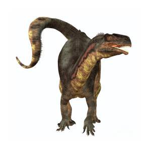 Plateosaurus  Dinosaur