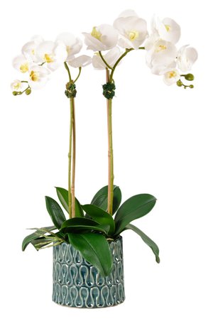 Bloomr Casual Orchid Planter Decoration | Nordstrom